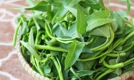 Ảnh minh họa: Internet