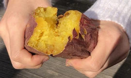 Ảnh minh họa: Internet