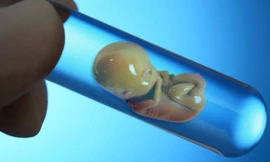 Ảnh minh họa: Internet