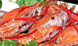 Ảnh minh họa: Internet