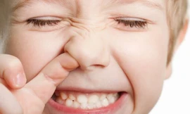 Ảnh minh họa: Internet