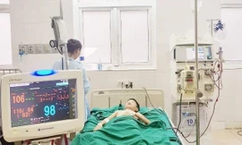 Ảnh minh hoạ: Internet