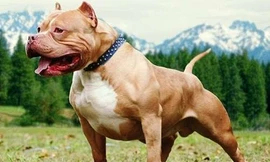 Ảnh minh hoạ: Internet