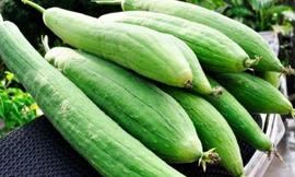 Ảnh minh họa: Internet