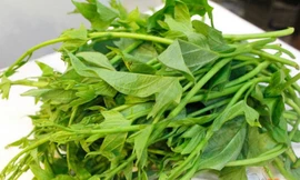 Ảnh minh họa: Internet