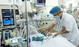 Ảnh minh hoạ: Internet