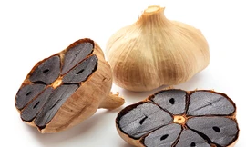 Ảnh minh họa: Internet