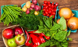 Ảnh minh hoạ: Internet