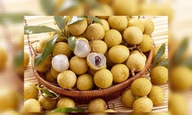 Ảnh minh họa: Internet