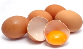 Ảnh minh hoạ: Internet