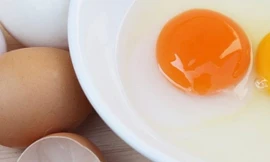 Ảnh minh họa: Internet