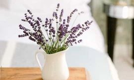 Ảnh minh họa: Internet