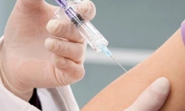 Ảnh minh họa: Internet