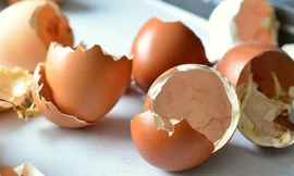 Ảnh minh họa: Internet