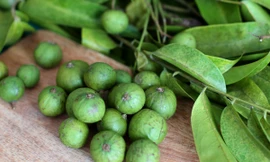 Ảnh minh họa: Internet