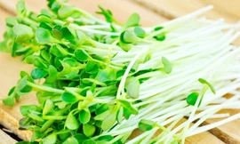 Ảnh minh họa: Internet