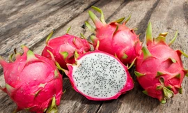 Ảnh minh hoạ: Internet