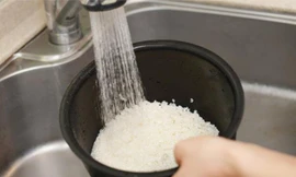 Ảnh minh họa: Internet