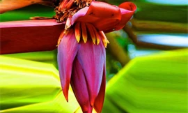 Ảnh minh họa: Internet