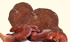 Ảnh minh hoạ: Internet