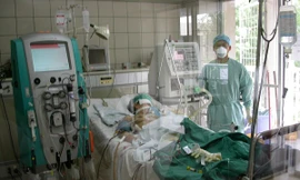 Ảnh minh hoạ: Internet