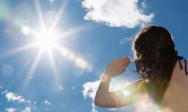 Ảnh minh hoạ: Internet