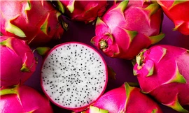 Ảnh minh họa: Internet