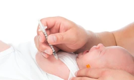 Ảnh minh hoạ: Internet