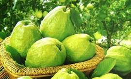 Ảnh minh họa: Internet