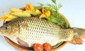 Ảnh minh hoạ: Internet