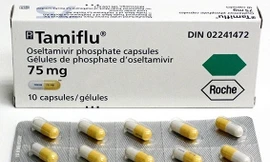 Ảnh minh họa: Internet