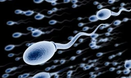 Ảnh minh hoạ: Internet