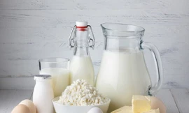 Ảnh minh hoạ: Internet