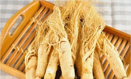 Ảnh minh họa: Internet