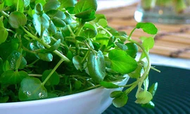 Ảnh minh họa: Internet