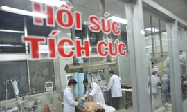 Ảnh minh họa: Internet