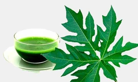 Ảnh minh họa: Internet