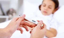 Ảnh minh họa: Internet