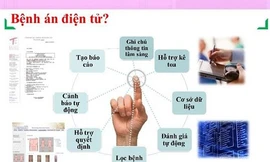 Ảnh minh hoạ: Internet