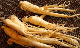 Ảnh minh họa: Internet