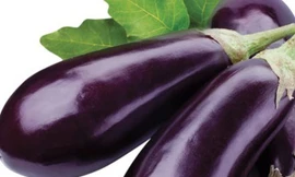 Ảnh minh họa: Internet