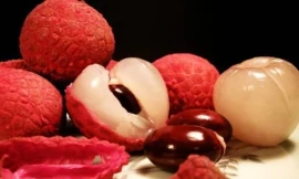 Ảnh minh họa: Internet