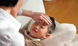 Ảnh minh họa: Internet