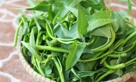 Ảnh minh họa: Internet