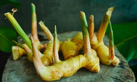 Ảnh minh họa: Internet