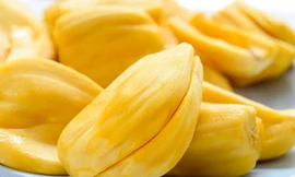 Ảnh minh hoạ: Internet