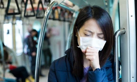 Ảnh minh hoạ: Internet