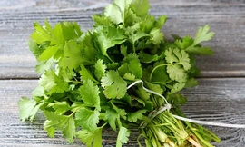 Ảnh minh họa: Internet