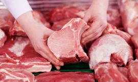  Nếu thịt có màu lạ như nâu, xám, đỏ thâm, xanh nhạt, phần bì lấm chấm xuất huyết, tai lợn bị tím, khi chạm tay thấy chảy nhớt, rỉ nước... thì là thịt ôi hoặc thịt lợn mắc bệnh. Ảnh minh hoạ: Internet