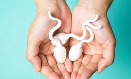 Ảnh minh họa: Internet